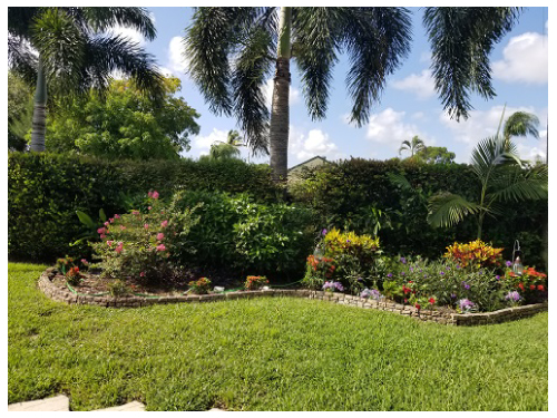 Lovely backyard