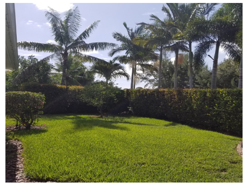 Extra large backyard!