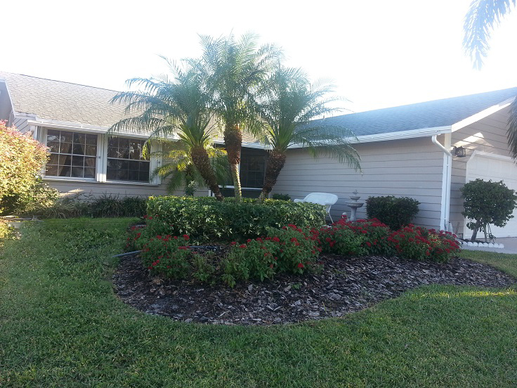 Professionally Landscaped